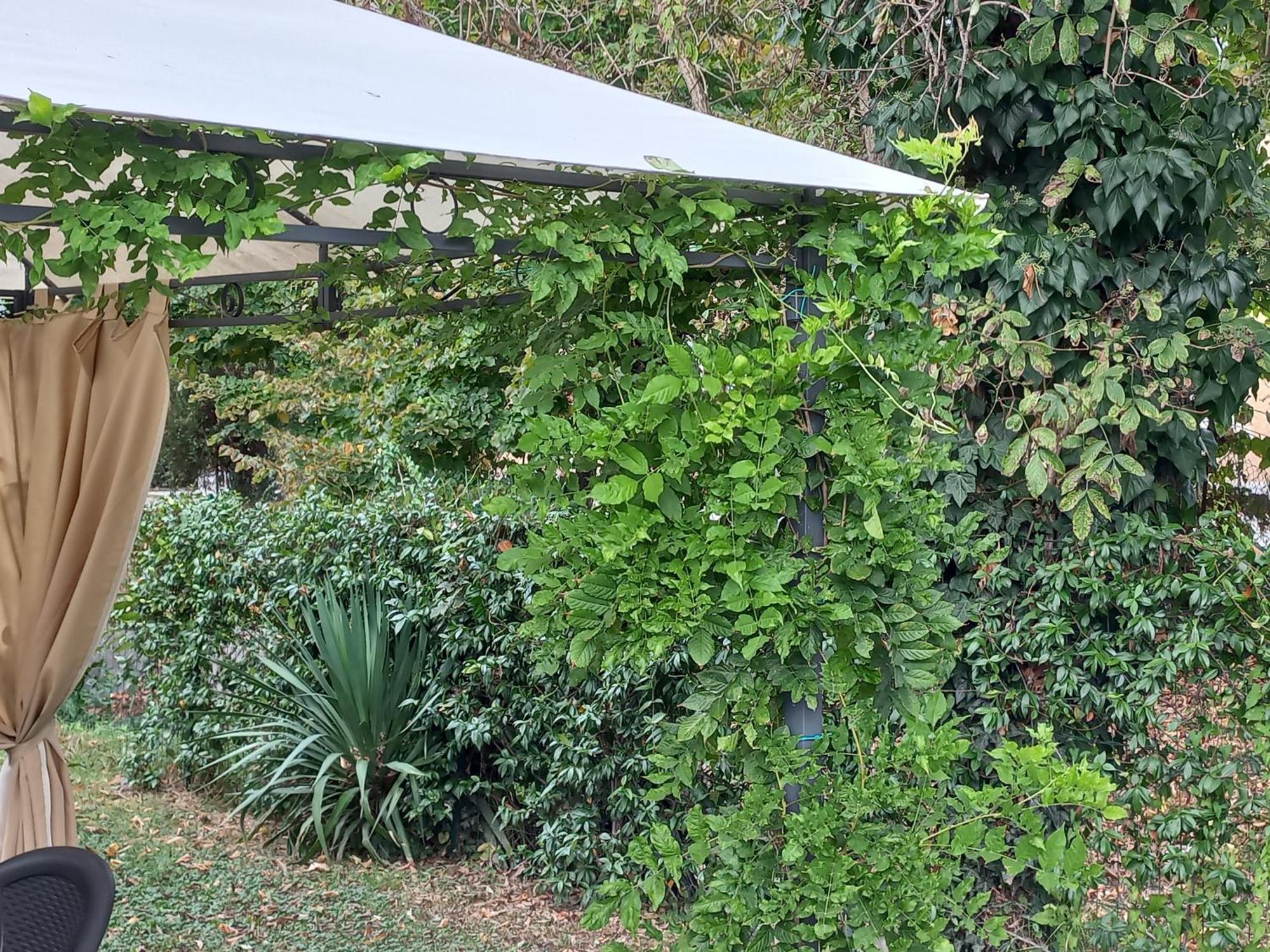 Appartamento Le Magnolie 2 ميستر المظهر الخارجي الصورة