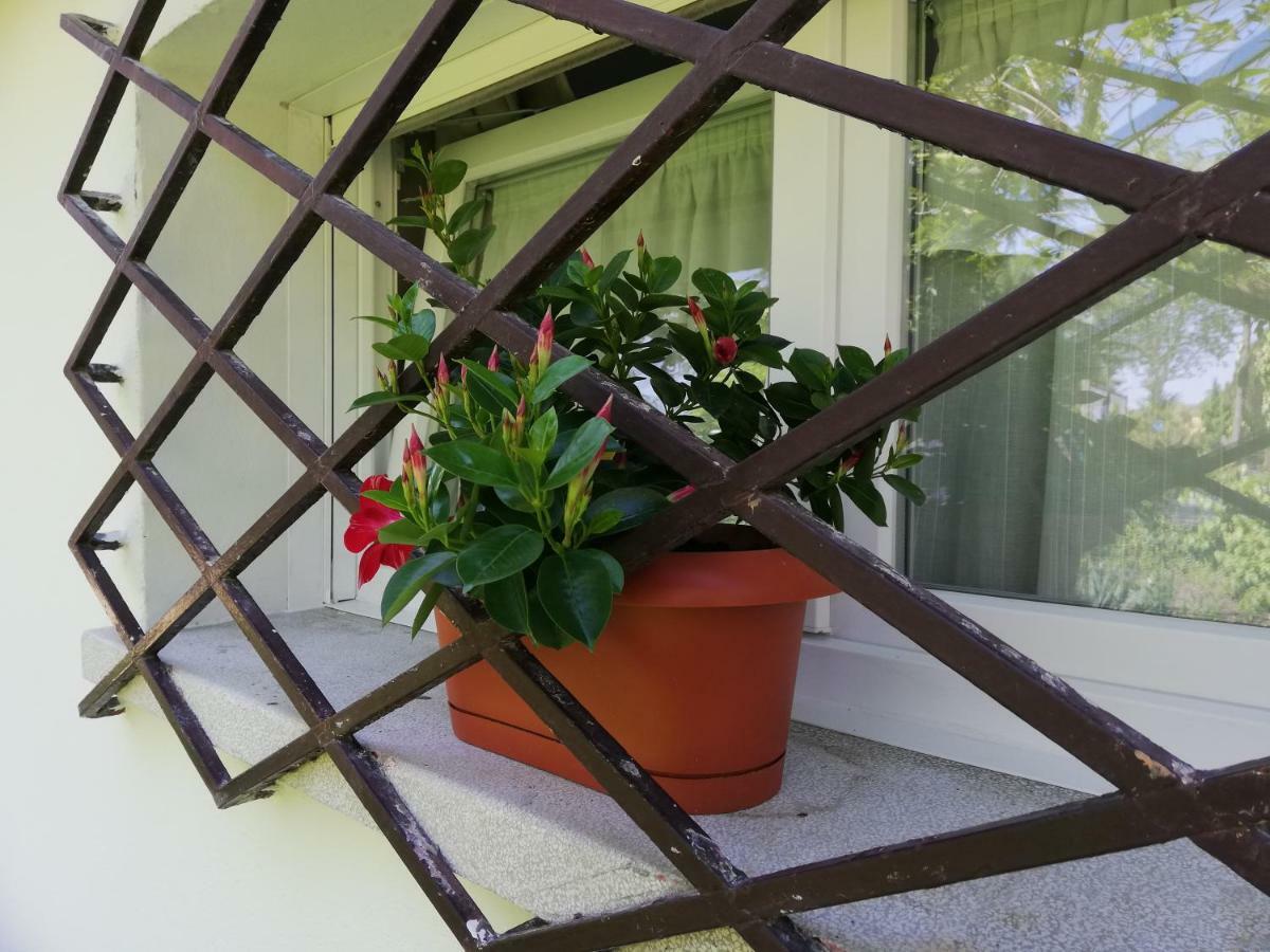 Appartamento Le Magnolie 2 ميستر المظهر الخارجي الصورة
